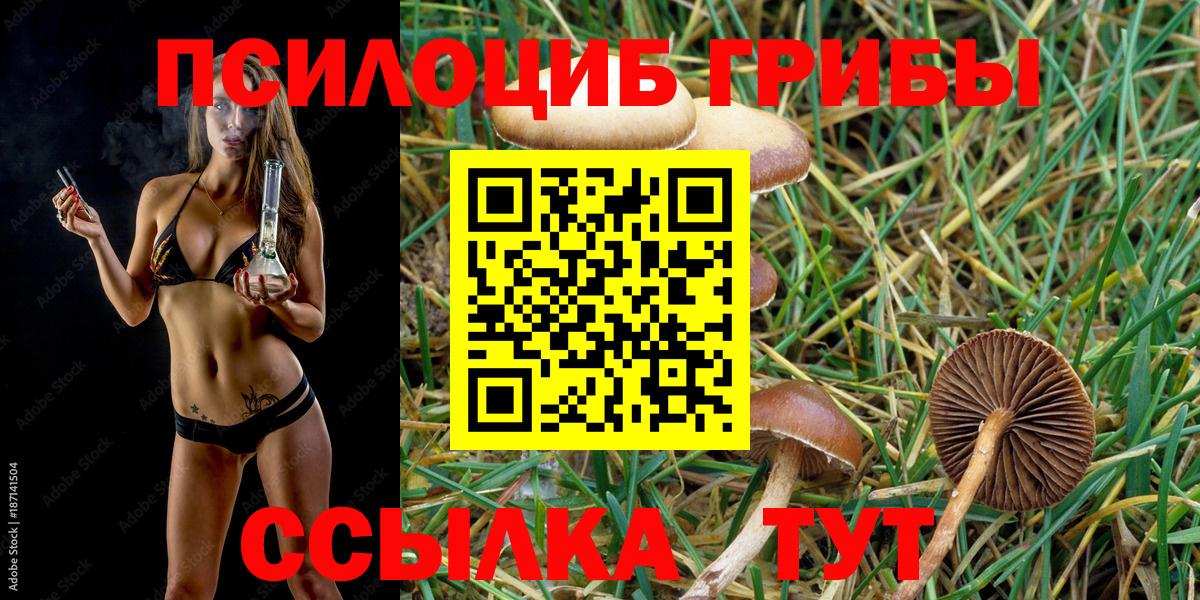 Галлюциногенные грибы мухоморы Лосино-Петровский